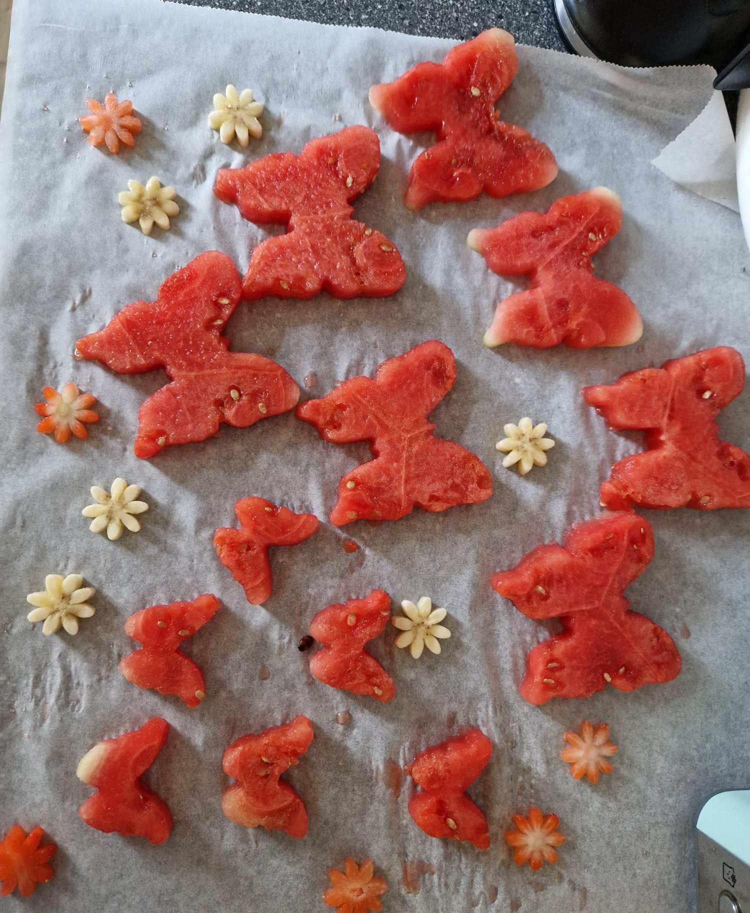 KoekieVlinders KoekieVlinders